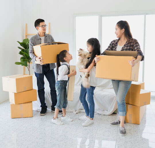 About Hamilton Removalists
