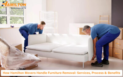 How Hamilton Movers Handle Furniture Removal: Services, Process & Benefits